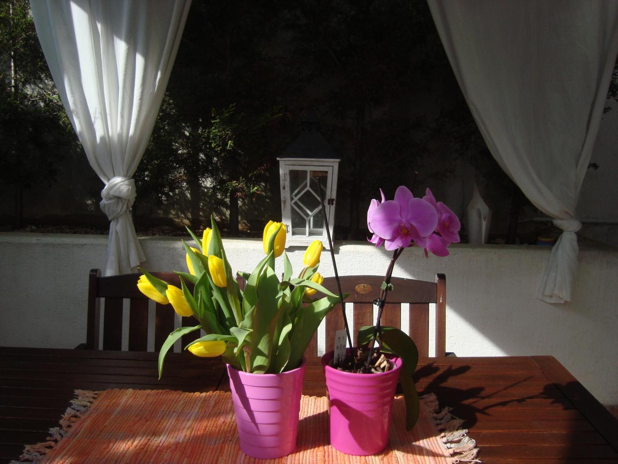 Apartment Villa Holiday II Πούλα Εξωτερικό φωτογραφία