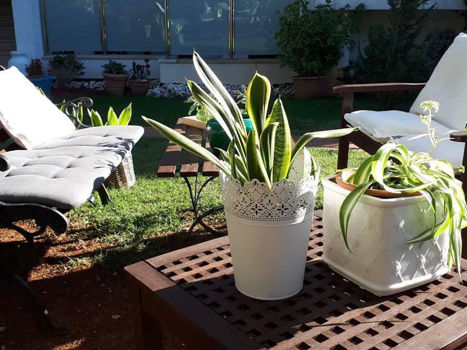 Apartment Villa Holiday II Πούλα Εξωτερικό φωτογραφία